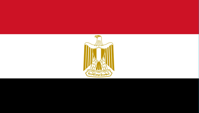 Egypt NTRA Announces Ban on Import and Type Approval of 3G-Only Devices