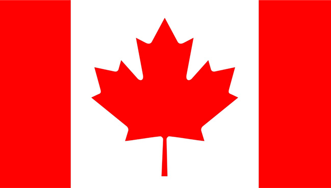 ISED Releases RSS-102.SAR.MEAS Issue 2: Latest Updates on SAR Testing Requirements